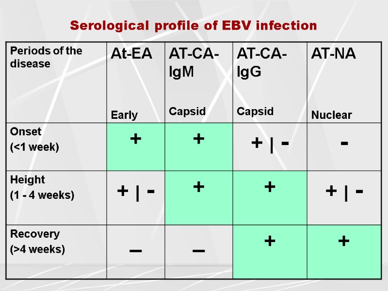 Serological profile of EBV infection